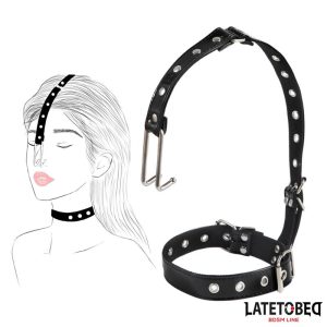 Collar with Nose Hook