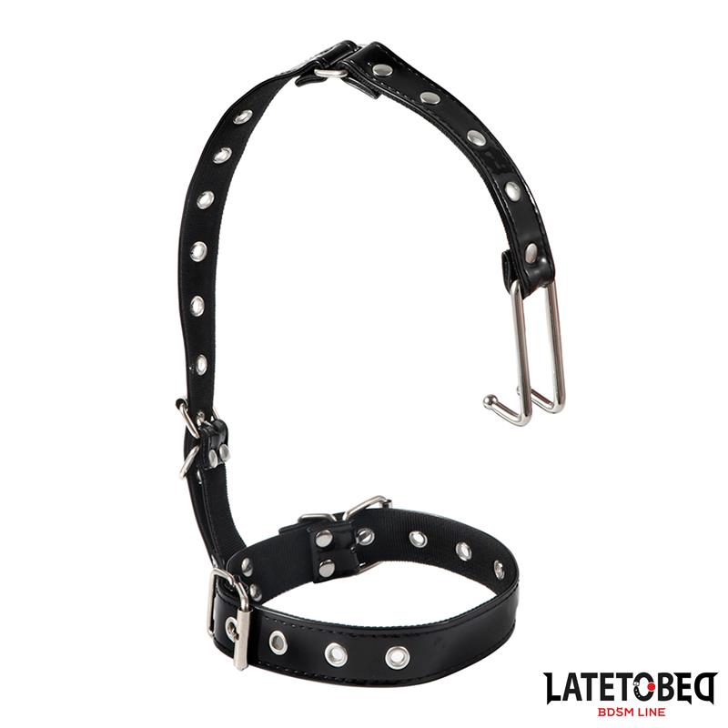 Collar with Nose Hook - Image 2
