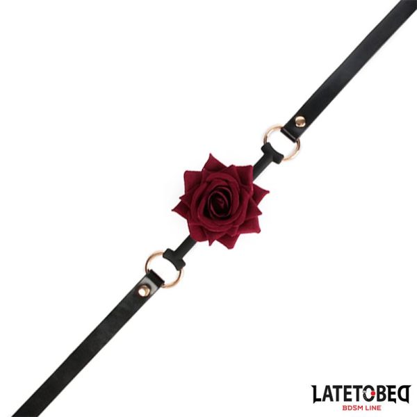 Gold Metal rose gag Ball - Image 4
