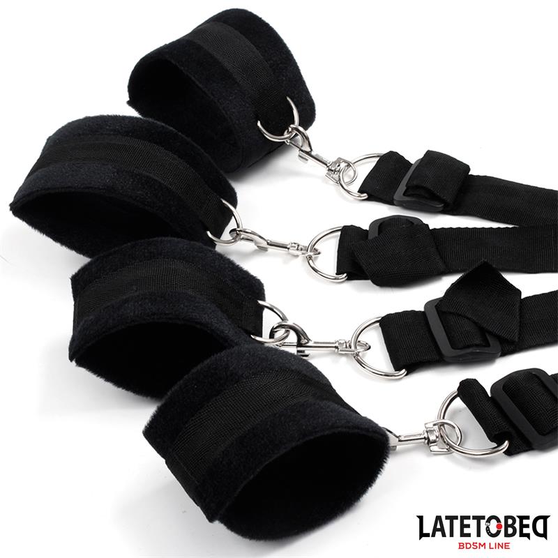 Bed Restraints - Image 3