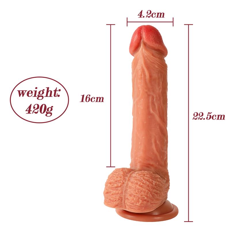 Dean Dildo with Thrusting and Vibrating 8 - Image 9