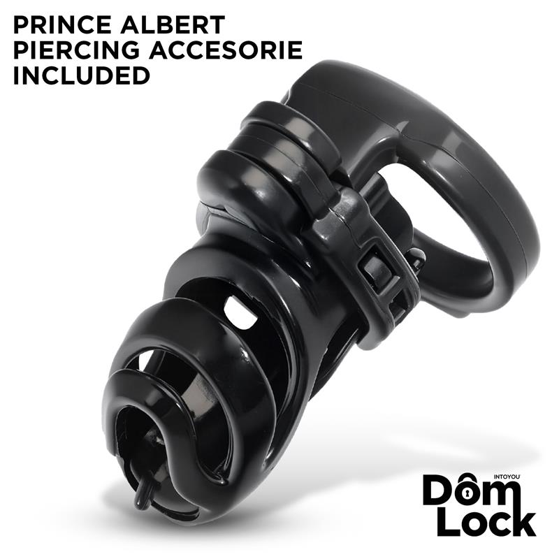 Detention Chastity Cage with Accessory for Prince Albert - Image 3