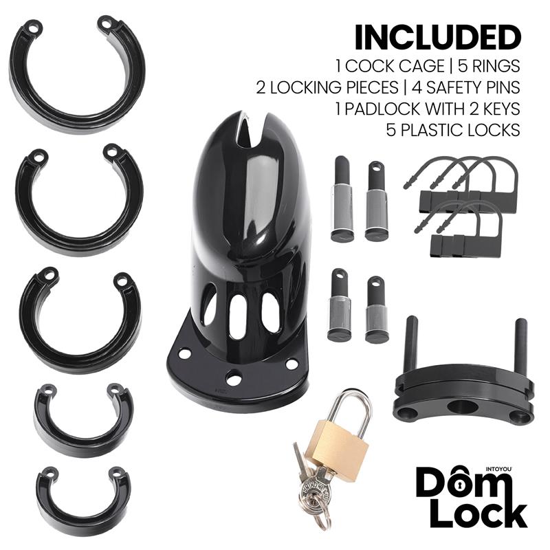 Custody Chastity Cage - Image 4