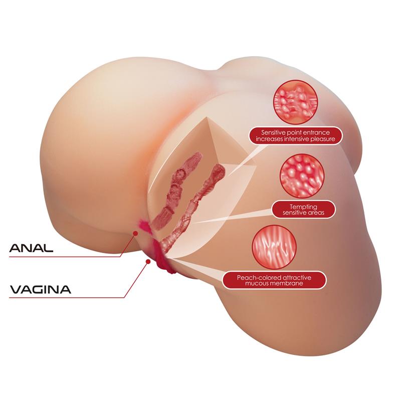 Masturbator Vagina and Ass 5.5kg - Image 6