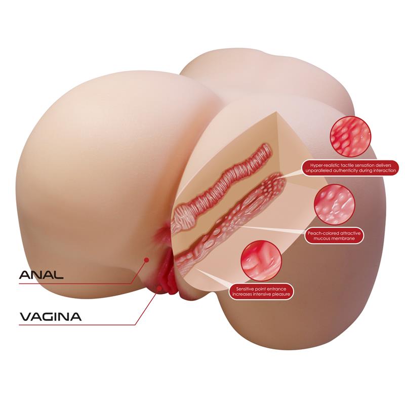 Masturbator Vagina and Ass 11kg - Image 5