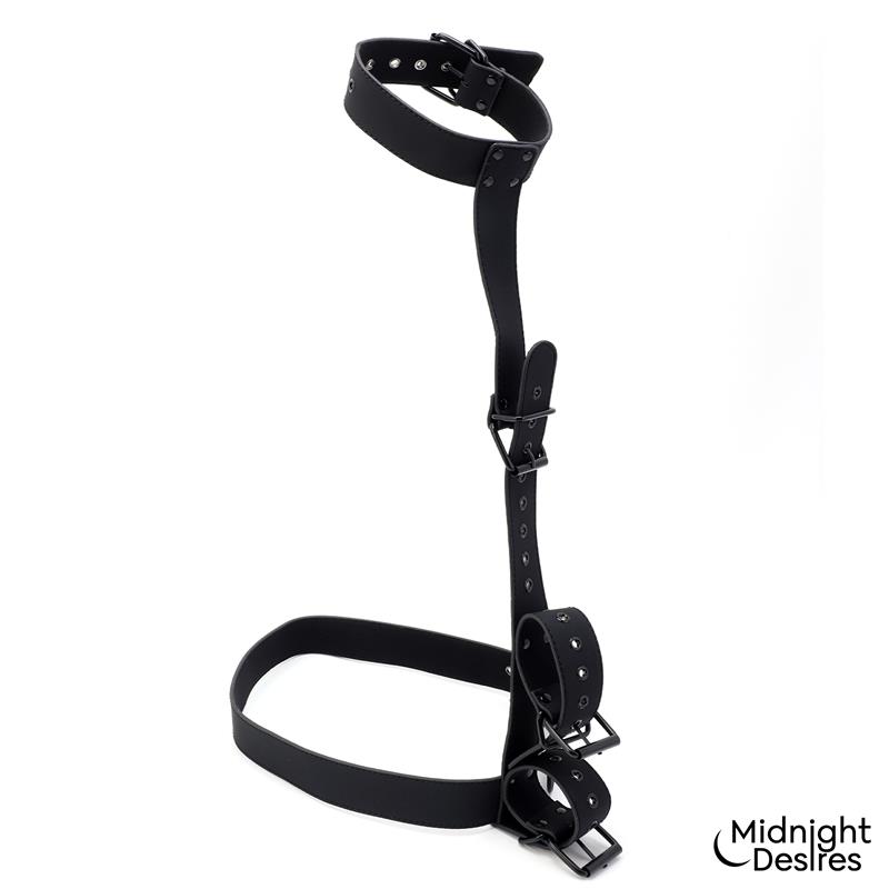 Collar and Wrist Cuffs Body Restraint Set - Image 2