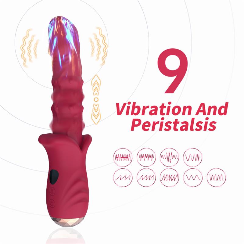 Vibrator with Heating and Vertical Movement - Image 7