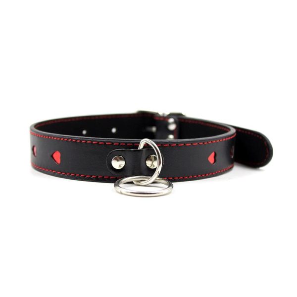 Collar with Metal Leash Black/Red - Image 4