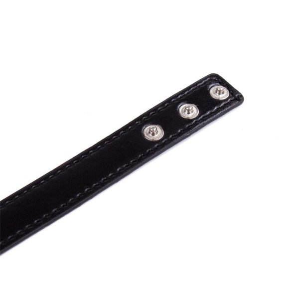 Collar with Hoop Adjustable 38,2 cm Black - Image 5
