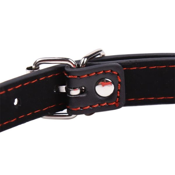 Bone Gag Ball Red - Image 7